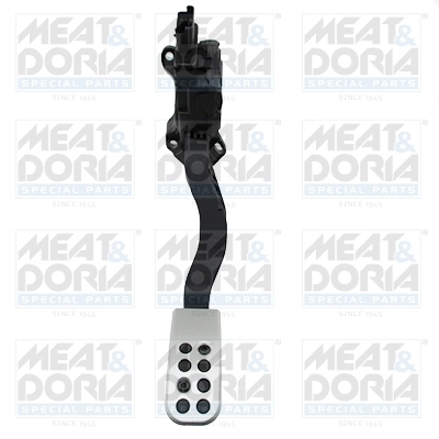 Accelerator Pedal Unit